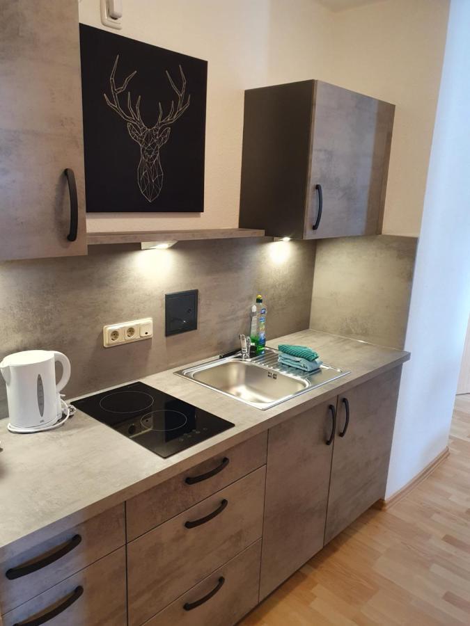 Apartments Und Bistro Zum Glasmacher Gehlberg Dış mekan fotoğraf