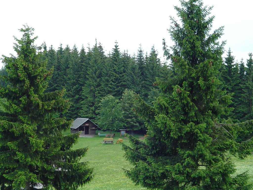 Apartments Und Bistro Zum Glasmacher Gehlberg Oda fotoğraf